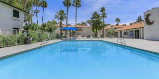 Tides on McDowell Gallery 22