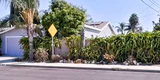 NEW CONSTRUCTION: Modern ADU with Private Entrance! Gallery 3