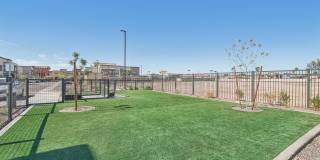 Springs at Stadium Village Gallery 44