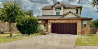 417 Cinnamon Teal Gallery 1