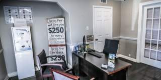 Spring Pine Gallery 25