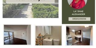 3263 Belmont Gallery 1