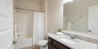 Technology Park Gallery 11