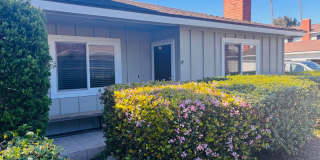 Walk to the Beach Gallery 1