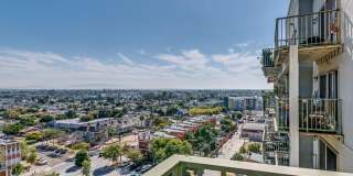 Bayview Tower Gallery 13