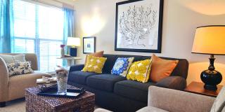 The Farms Gallery 17