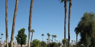 144 Las Lomas Gallery 2