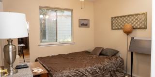 Fully Furnished South Austin Home - Riverside Meadows Gallery 13