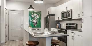 Lector 85 Gallery 10