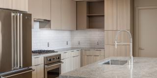 The Merian Gallery 72