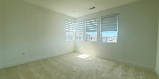 301 Shoveler Gallery 10