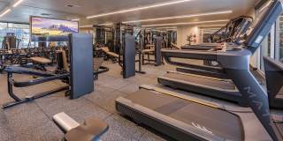 Ardence & Bloom Ardence & Bloom Gallery 9