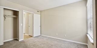 Vert at Six Forks Gallery 19