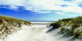 25 Coquille Beach Dr Dr Gallery 22
