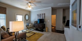 Ascent North Gallery 6