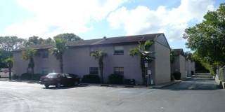 Baywatch Apartments- Five Minutes Driving from USF Gallery 2