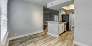 Waterside Gallery 10