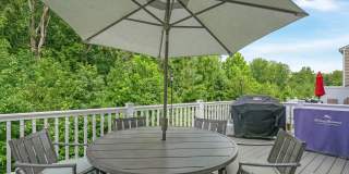 4817 Forest Pines Dr Gallery 19