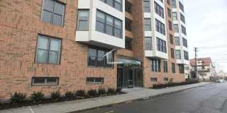 Sunny, Modern Allston 2-Bed/2-Bath Steps from Packard's Corner! Gallery 17