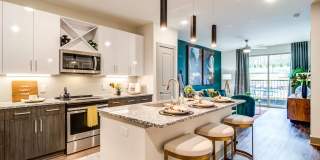 Skye Suwanee Town Center Gallery 1