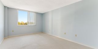 925 N Halifax Avenue unit: 410 Gallery 9