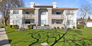 Terra at Portola Park Gallery 2