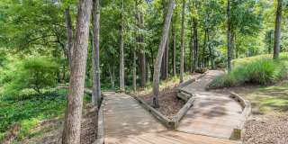 The Heron at River Island Gallery 7