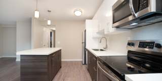 Tamasha Apartments Gallery 3