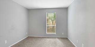 The Pines Gallery 43