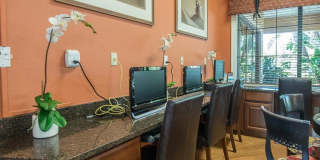 352 LAUREL FALLS DRIVE Gallery 48