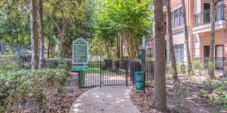 The Circle at Hermann Park Gallery 23