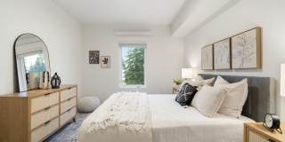 The Oliveen Gallery 49