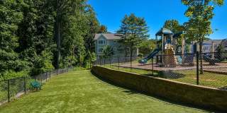 Orchard Park Gallery 29