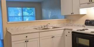 2/1/ home in St. Pete Gallery 7