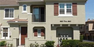 6931 Castor Gallery 1
