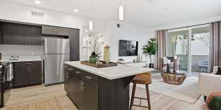 Palomar Station Gallery 3