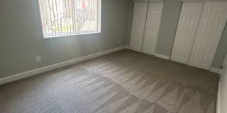 Hewitt Gardens Gallery 86