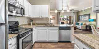 Stonebridge Ranch Gallery 1