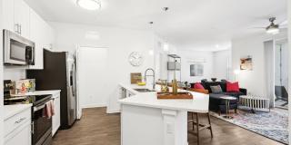 Douglas Grand at Telecom Parkway Gallery 7