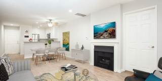 Playa Marina Gallery 3