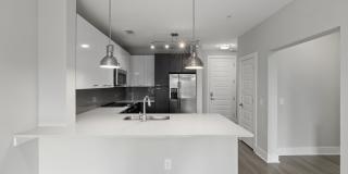 Cadence Music Factory Gallery 43