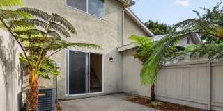 Large spacious 2 Bedroom in UTC Gallery 6