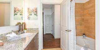 Venetian Isle Gallery 37