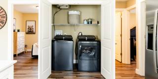 Paugus Woods Gallery 19