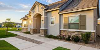 Canopy at Sundance Gallery 53