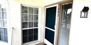 204 Silver Lake Drive #203 Gallery 1