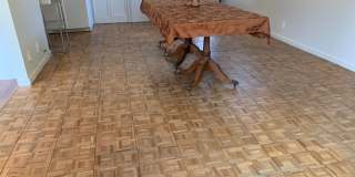 Spacious house with hardwood, handicap ramps, pet friendly, large garden with fruit trees Spacious house with hardwood, handicap ramps, pet friendly, large garden with fruit trees Gallery 19