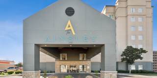 The Ainsley Gallery 27