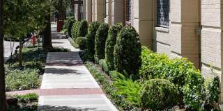 The Parker Gallery 3