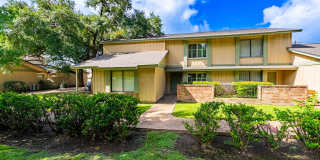 Charming 3 bedroom, 1.5 bathroom Located in North Austin! Gallery 1